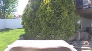Unidentified clip