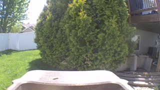 Unidentified clip