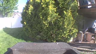 Unidentified clip