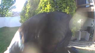 Unidentified clip