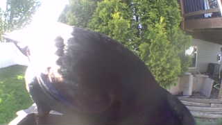 Unidentified clip