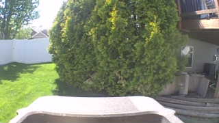 Unidentified clip