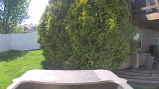 Unidentified clip
