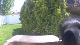 Unidentified clip