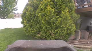 Unidentified clip