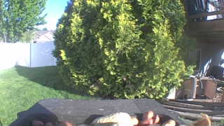 Unidentified clip