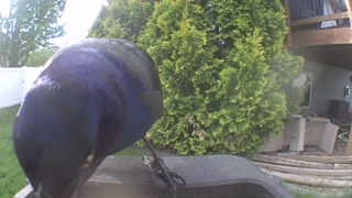 Unidentified clip