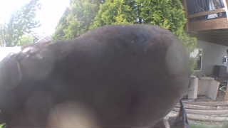 Unidentified clip