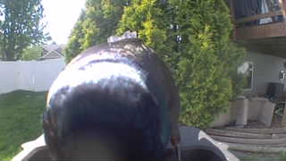 Unidentified clip