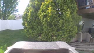 Unidentified clip