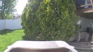 Unidentified clip