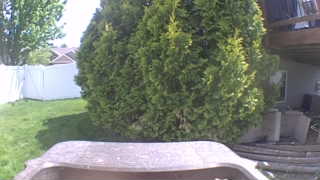 Unidentified clip