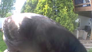 Unidentified clip