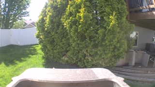Unidentified clip
