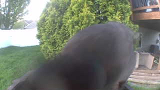Unidentified clip