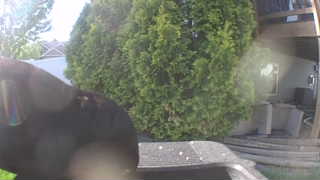 Unidentified clip