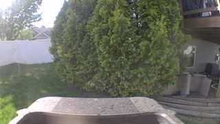 Unidentified clip