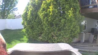 Unidentified clip