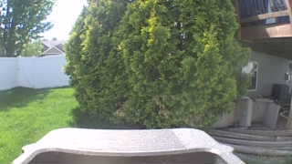 Unidentified clip
