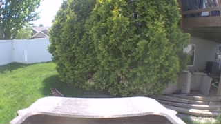 Unidentified clip