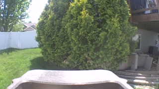 Unidentified clip