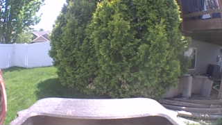Unidentified clip