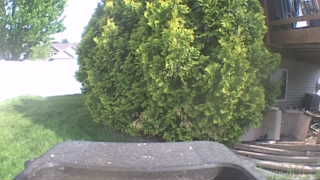 Unidentified clip