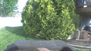 Unidentified clip