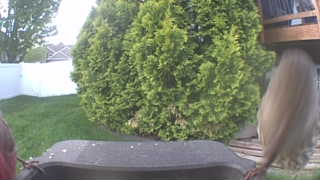 Unidentified clip