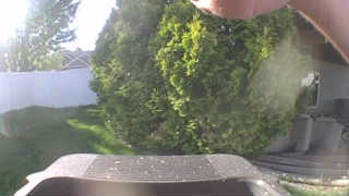 Unidentified clip