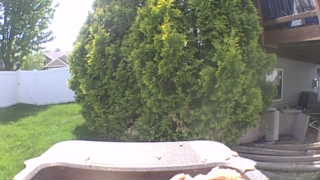 Unidentified clip