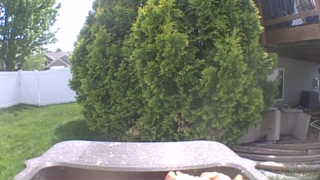 Unidentified clip