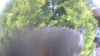 Unidentified clip