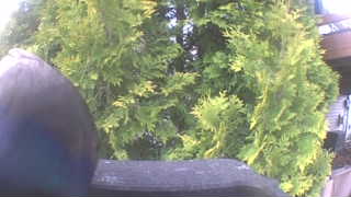 Unidentified clip