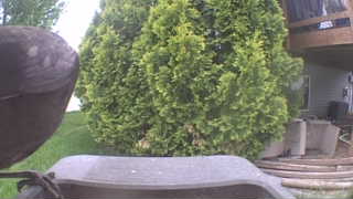 Unidentified clip