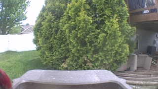 Unidentified clip