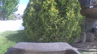 Unidentified clip
