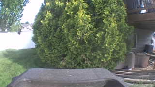 Unidentified clip