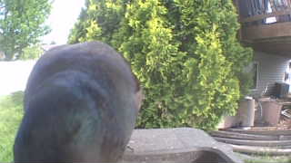 Unidentified clip