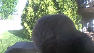 Unidentified clip