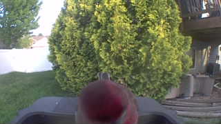 Unidentified clip