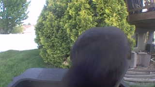 Unidentified clip
