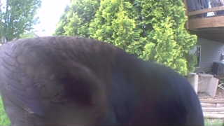 Unidentified clip