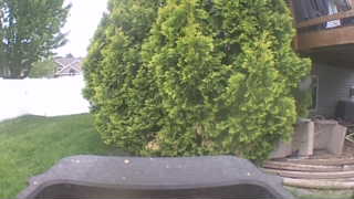 Unidentified clip