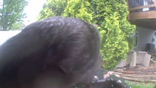 Unidentified clip