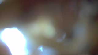 Unidentified clip