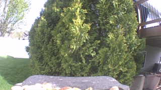 Unidentified clip