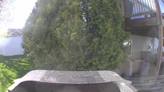 Unidentified clip