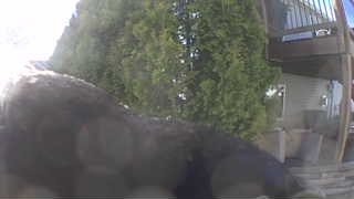 Unidentified clip