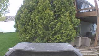 Unidentified clip
